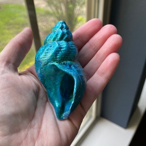 Hand painted whelk shell ornaments.Beautiful metallic hues!