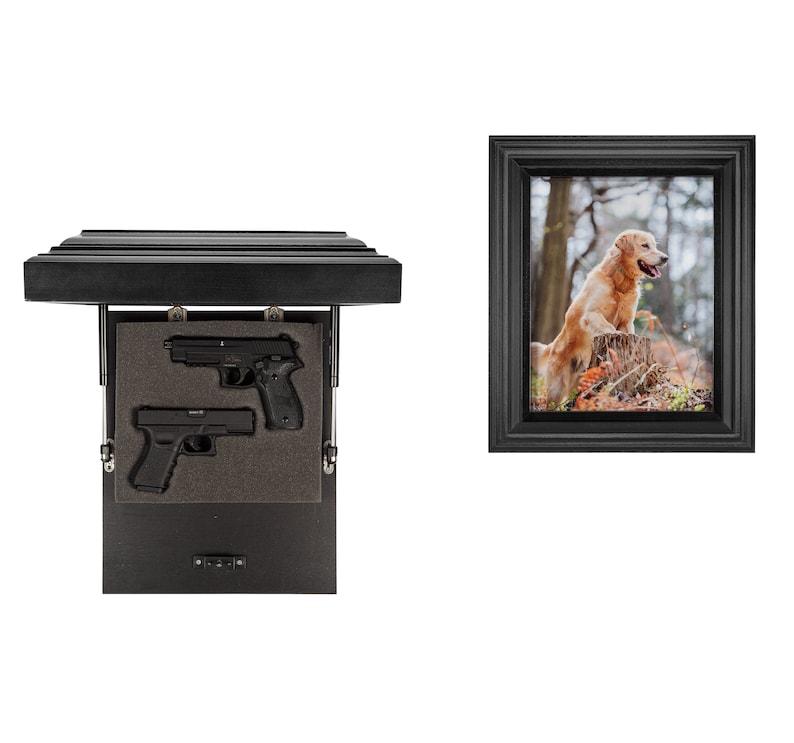 Guardian 15s Picture Frame Hidden Gun Storage Safe With Trap Etsy