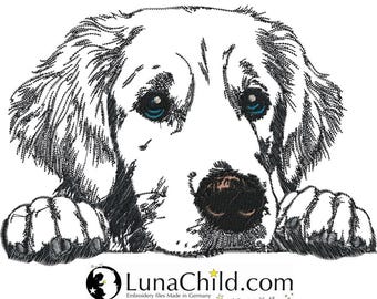 Embroidery design - Golden Retriever "Walter" - in 8 sizes - Dog - LunaChild