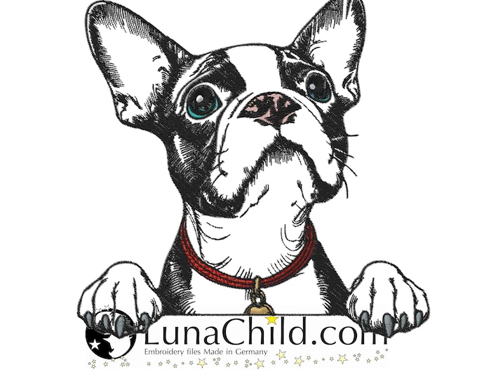 NEW Embroidery file Boston Terrier "Kylo" dog realistic commercial use LunaChild
