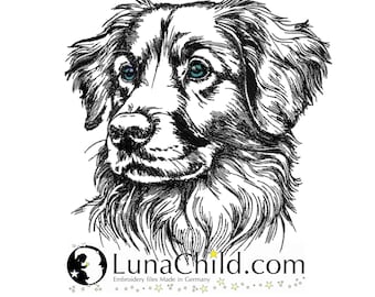 Stickdatei Nova Scotia Duck Tolling Retriever "Matteo" Mix Hund spähend realistisch kommerzielle Nutzung LunaChild