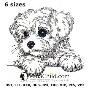 Può includere: Design ricamato di un cucciolo bianco e soffice con occhi blu e naso nero. L'immagine include il testo "6 taglie" in alto e il sito web LunaChild.com in basso, insieme alle abbreviazioni dei tipi di file.