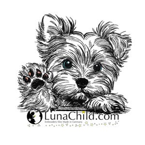 Op de afbeelding: Zwart-witte lijntekening van een Yorkshire Terrier puppy met blauwe ogen, die de kijker aankijkt met een opgeheven poot. De puppy kijkt over een oppervlak met de tekst "LunaChild.com" en "Embroidery files Made in Germany" eronder.