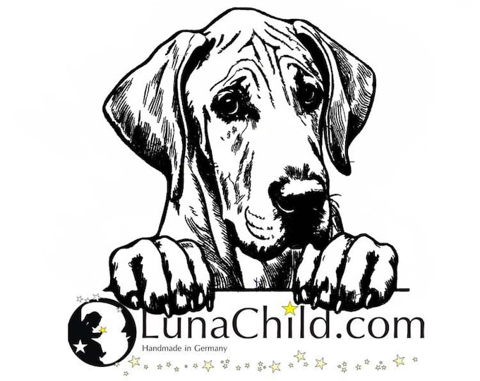 Stickdatei deutsche Dogge "Theo" Hund spähend realistisch kommerzielle Nutzung LunaChild