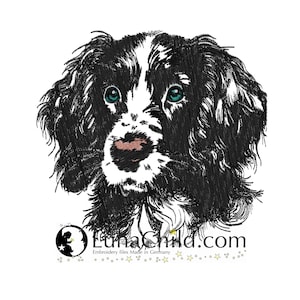 May include: Black and white embroidered image of a Springer Spaniel puppy with blue eyes. The puppy is looking directly at the viewer.