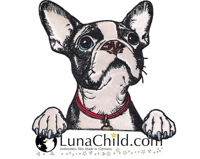 NEU Stickdatei Applikation Boston Terrier "Kylo" kommerzielle Nutzung LunaChild Hund Apli