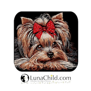 May include: A brown and tan Yorkshire Terrier with a red bow with white polka dots, lying down with its head resting on its paws. The dog is looking directly at the viewer. The background is black.