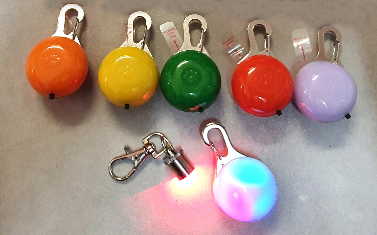 Hundehalstuch für taube gehörlose Hunde mit Name Softshell Etsy