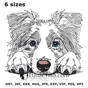 May include: Black and white line art embroidery design of a Border Collie puppy with blue eyes, looking up with its paws in front of its face. The design is available in 6 sizes: DST, JEF, XXX, HUS, JPX, EXP, VIP, PES, VP3.