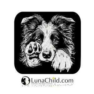 May include: Black and white line art illustration of a Border Collie dog with its paw covering its face. The dog is looking at the viewer with a playful expression. The image is set against a black background.