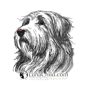 Può includere: Illustrazione in bianco e nero a linee di un cane Bearded Collie. Il cane guarda a destra. L'immagine è su uno sfondo bianco.