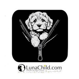 Puede incluir: Un cachorro blanco y esponjoso asomándose de una cremallera negra. El cachorro mira al espectador con una expresión dulce. La cremallera está cerrada y tiene un tirador plateado.