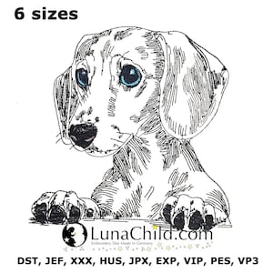 May include: An embroidery design of a Dachshund dog with blue eyes, paws visible, and the text "6 sizes". The LunaChild.com logo is at the bottom, along with file type abbreviations.