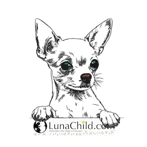 Può includere: Disegno in bianco e nero di un chihuahua che guarda lo spettatore. Il cane sta guardando oltre una superficie con le zampe sul bordo.
