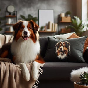 Könnte beinhalten: Ein brauner und weißer Australian Shepherd sitzt auf einem grauen Sofa mit einer Wolldecke. Der Hund schaut in die Kamera. Es gibt ein Kissen mit einem gestickten braunen und weißen Australian Shepherd.