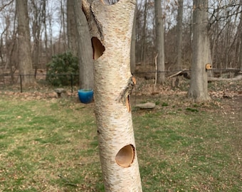 Log Suet Feeders from reclaimed Birch, Oak, Cherry, or Black Walnut trees. For your Birds & Wildlife. Uses 1-1/4&quot; Suet Plugs, about 18&quot; Tall