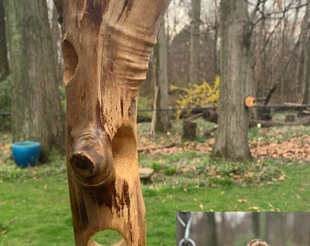 Beaver Chewed Log Bird Feeder: Natural Suet Plug Feeder