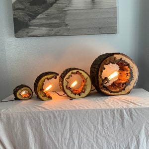 Può includere: Tre lampade in legno con corteccia d'albero esposta e lampadine a luce calda. Le lampade sono di dimensioni diverse e sono disposte in fila su una tovaglia bianca.