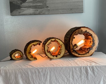 Hollow Log Edison Bulb Lamp: Decorative Wood Light Sculpture with Dimmer
