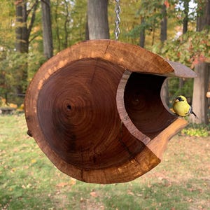 Black Walnut Squirrel Feeder, Bird Feeder, or Nesting Platform!  Sealed to a high-gloss, so it really lasts! Each is unique & one of a kind!