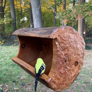 Può includere: Un mangiatoia per uccelli in legno a forma di tronco con un uccello appollaiato sul bordo. La mangiatoia è appesa a una catena e ha una finitura in legno naturale.