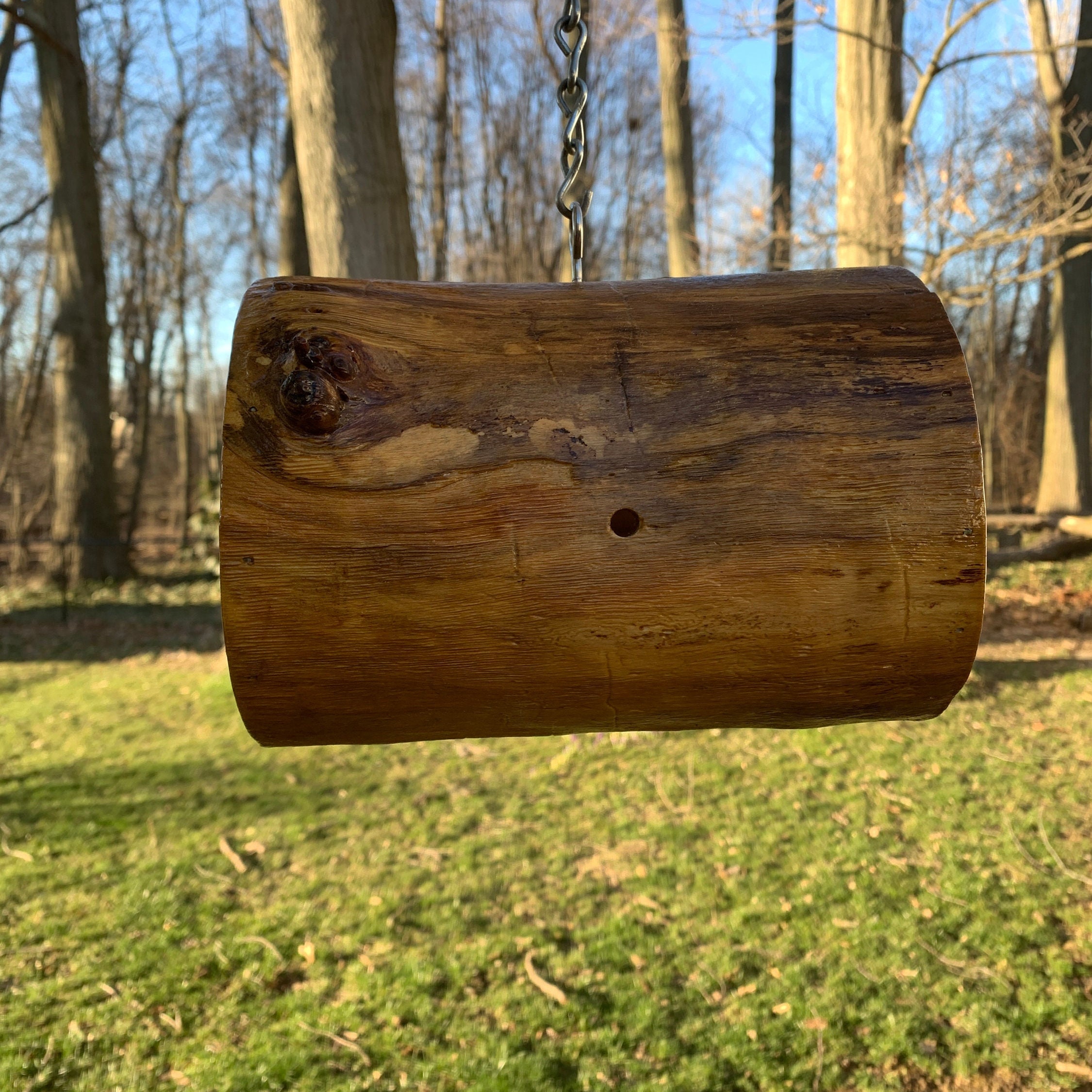 Log Nasting Log Squirrel Feeder, Bird Feeder, or Nesting Platform. Can Be Hung or ...