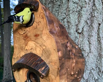 Rare Spalted Oak Bird House: Viewing Window, Changeable Hole Size