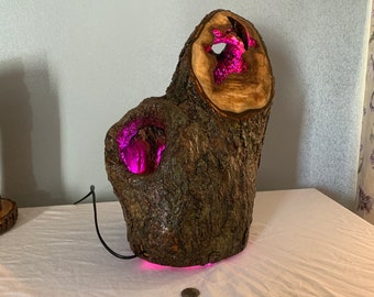 Hollow Log Light Sculpture: Programmable Bulb Accent Lamp