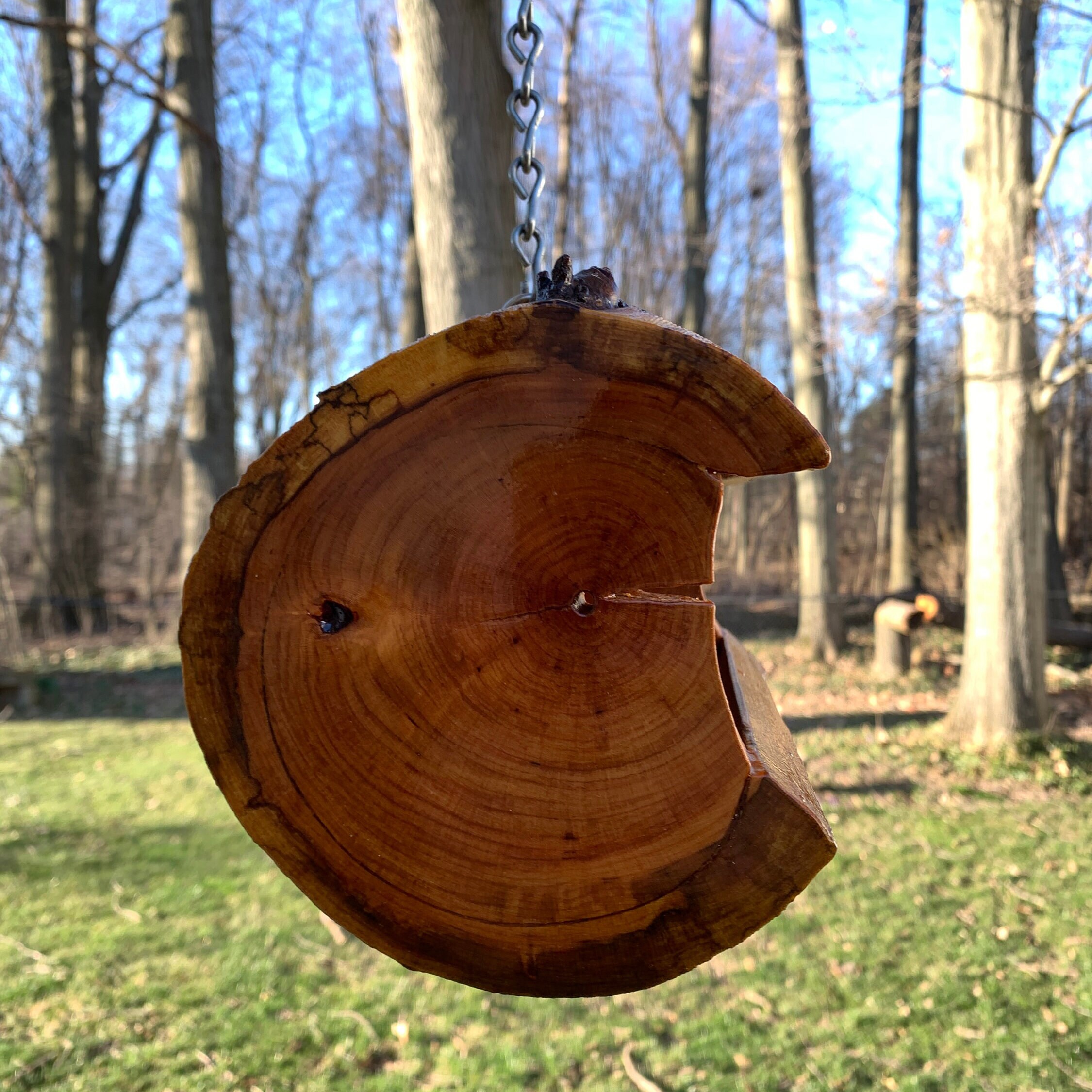 Log Nasting Log Squirrel Feeder, Bird Feeder, or Nesting Platform. Can Be Hung or ...