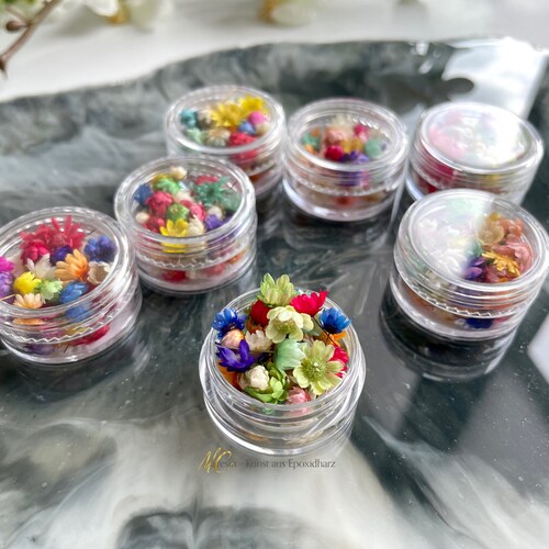 Mini Dried Flowers for Resin Jewelry Candles Soaps and Etsy