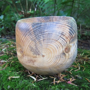 Stamm Schale / tiefes Gefäß / Übertopf / Holzschale / Holzschüssel / Schüssel / Drechseln / LeoUnikate