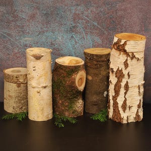 Tierurnen aus Holz handgedrechselte Unikate / Birkenholz & Birkenrinde