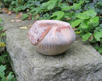 Decorative wooden bowl / small wooden bowl with bark
