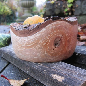 rustic wooden bowl made of apple wood with bark edge natural, turned