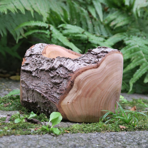 Cherry wood bowl with bark / natural / hand turned / handicraft / decoration