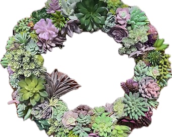 Faux Succulent Wreath