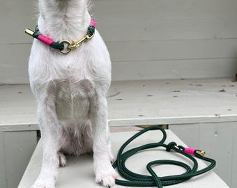 dog leash collar dog