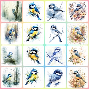32 dessins JPG haute résolution d'art aquarelle mésanges bleues - impression, aquarelle, art mural, usage commercial - téléchargement numérique