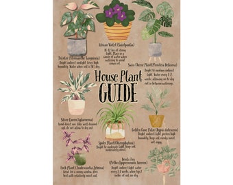 Plant Poster, House Plant Guide Series No. 1, Plant Lover, Crazy Plant Lady, Plant Parent Gift, Boho Decor, Poster Art, Plant Wall Art