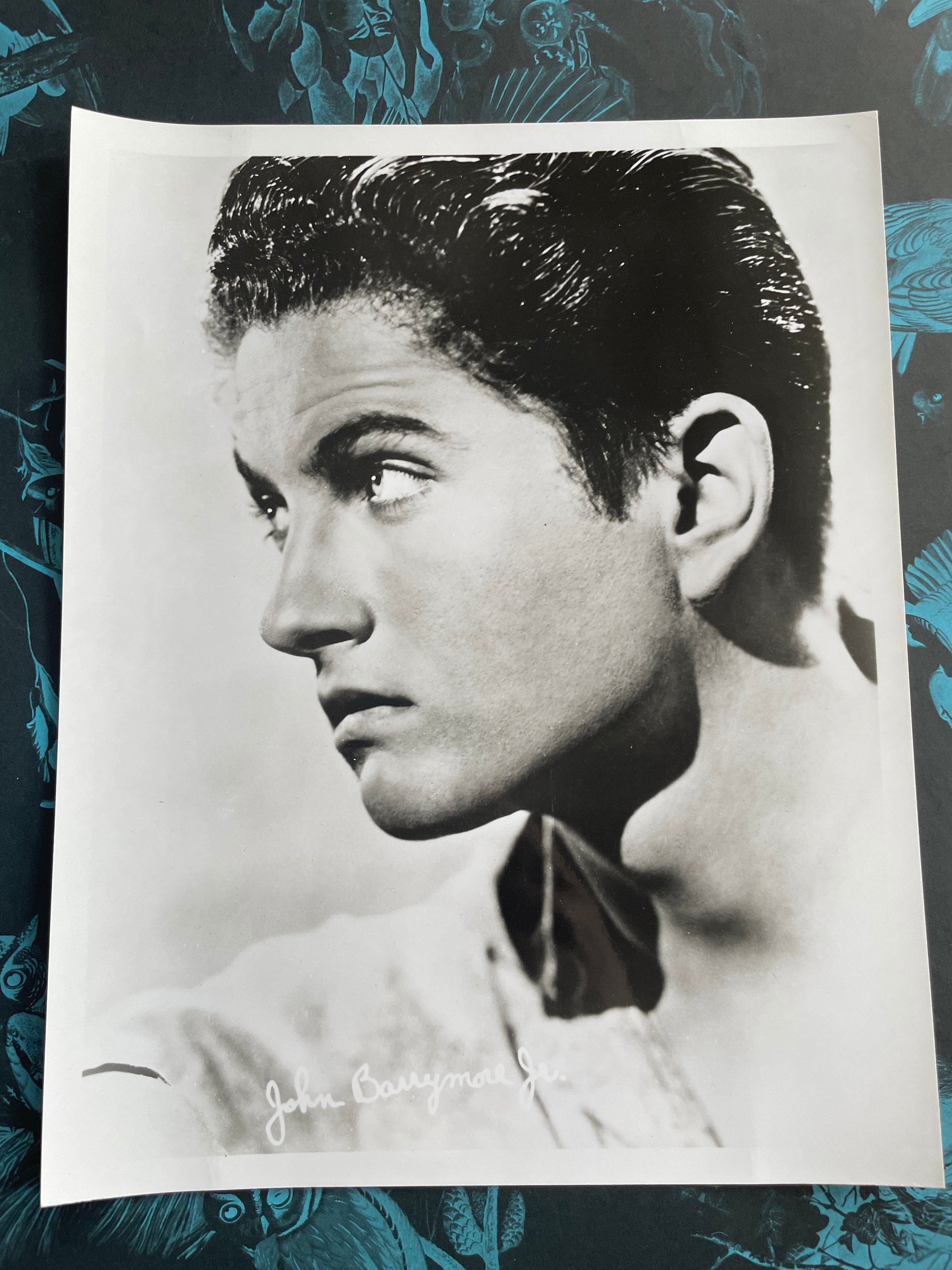 セクシーな若きジョン・ドリュー・バリモアのヴィンテージヘッド