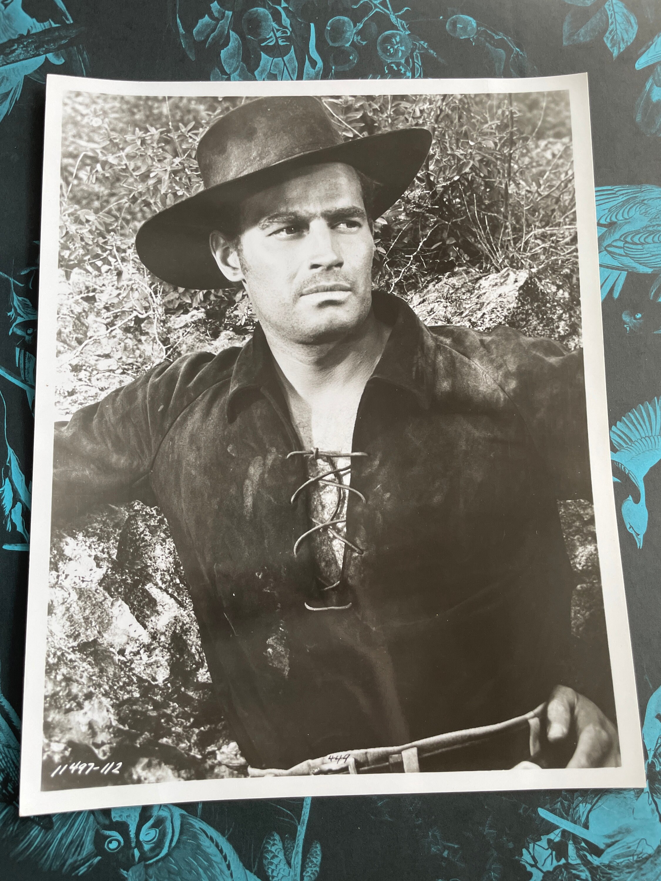 50s Celebrity Photos - Etsy