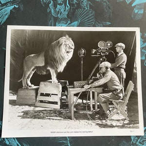 MGM レオ・ザ・ライオンが有名な咆哮を録音 ヴィンテージ メトロ