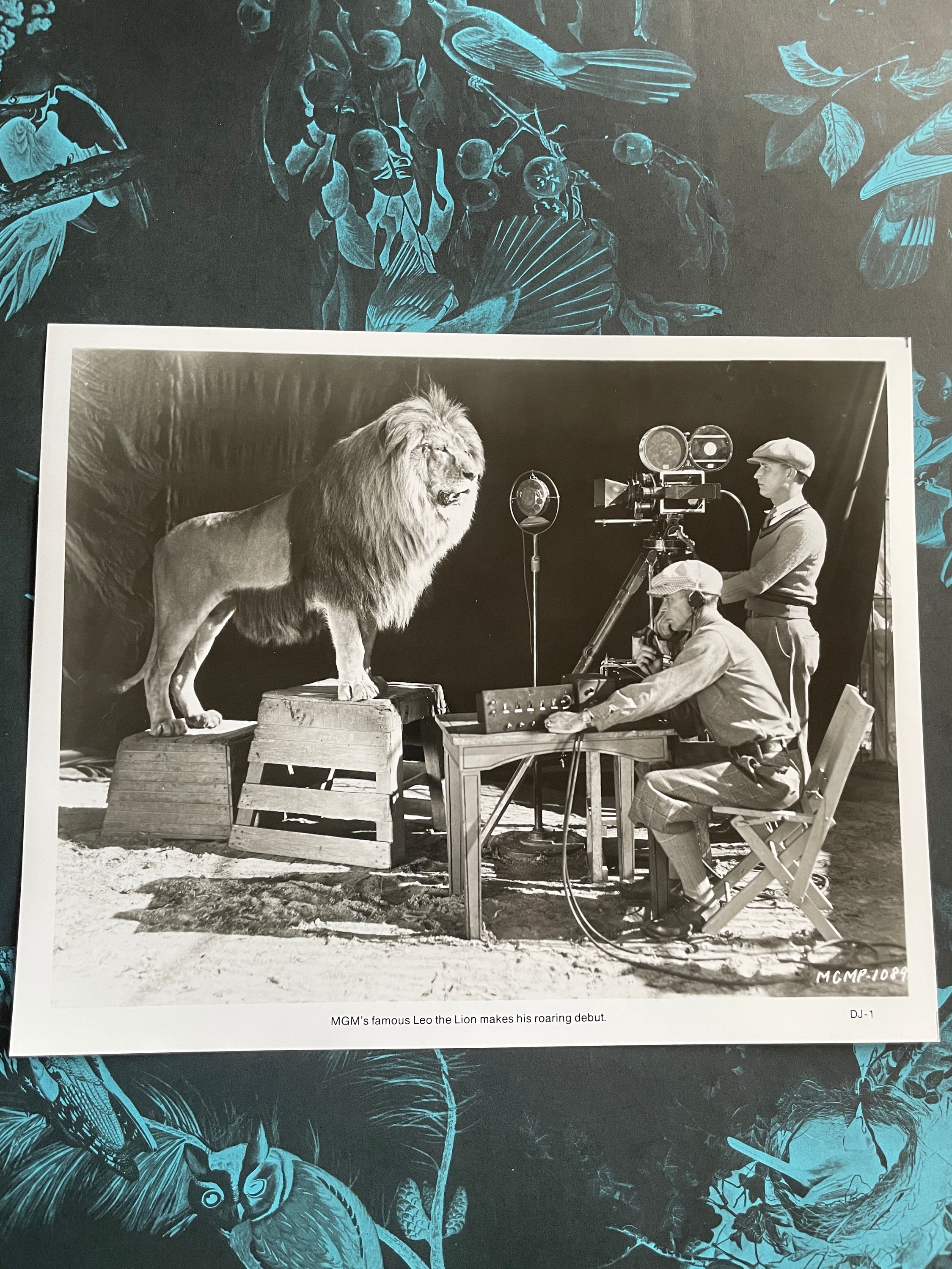 美品 リロイ・ニーマン「ライオンと雌ライオン」シルクスクリーン 直筆サイン入 MGM レオ・ザ・ライオンが有名な咆哮を録音 ヴィンテージ メトロ