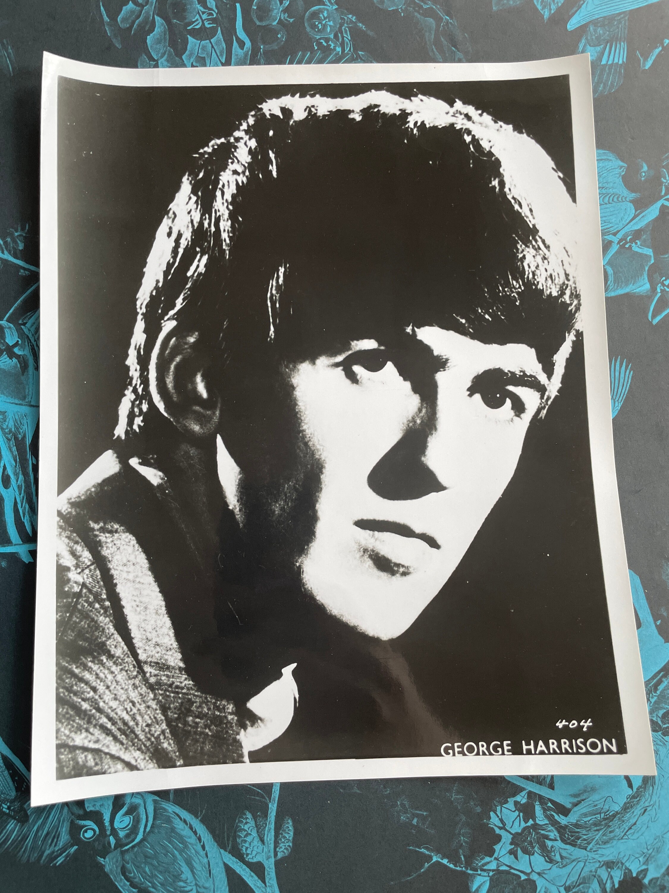 Beatles George Harrison Vintage 8x10 Headshot Rock Star