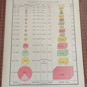 アメリカ合衆国のブドウ栽培、1889年、ランド・マクナリーによるアンティークカラーチャート、1899年頃の世界地図帳オリジナルワックスエッチングプリント