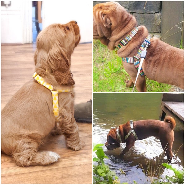 Muckpup Harness & Collar Set - Choose Your Design - Dog and Puppy - comfortable, cooling, adjustable, Y-front, easy clean, non-irritating
