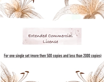 ERWEITERTE Kommerzielle Lizenz für Einzelprodukt bis 2000 Exemplare.