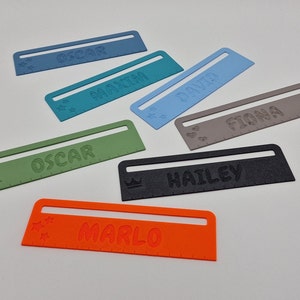 Pode incluir: Seis r&eacute;guas de pl&aacute;stico coloridas com nomes impressos nelas. Os nomes s&atilde;o Oscar, Marla, David, Fiona, Hailey e Oscar.