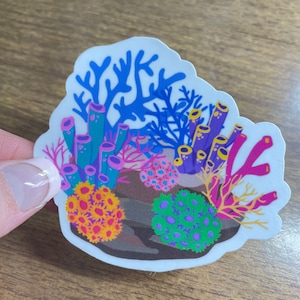 Reef Rock Sticker