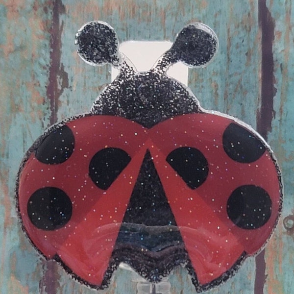 Lady Bug, Red, Black, Black Dots, Wings, Good Luck, Insects, Beetle, Ladybirds, Lady Beetles, True Bugs, Bugs, Flies, Yellow, Orange, spots